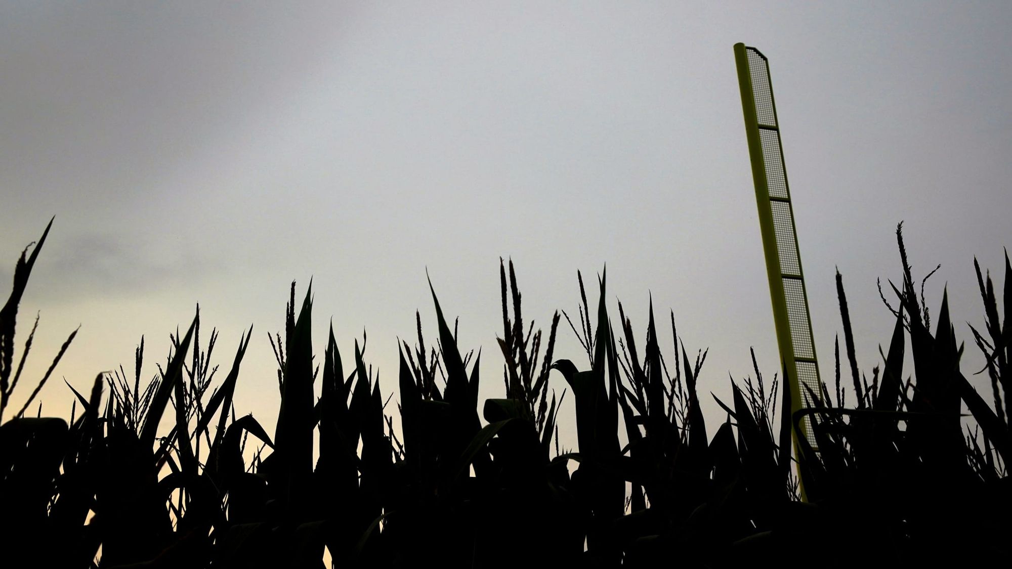 Opinion: The Field of Dreams Game is the Best Thing MLB has Done in Years