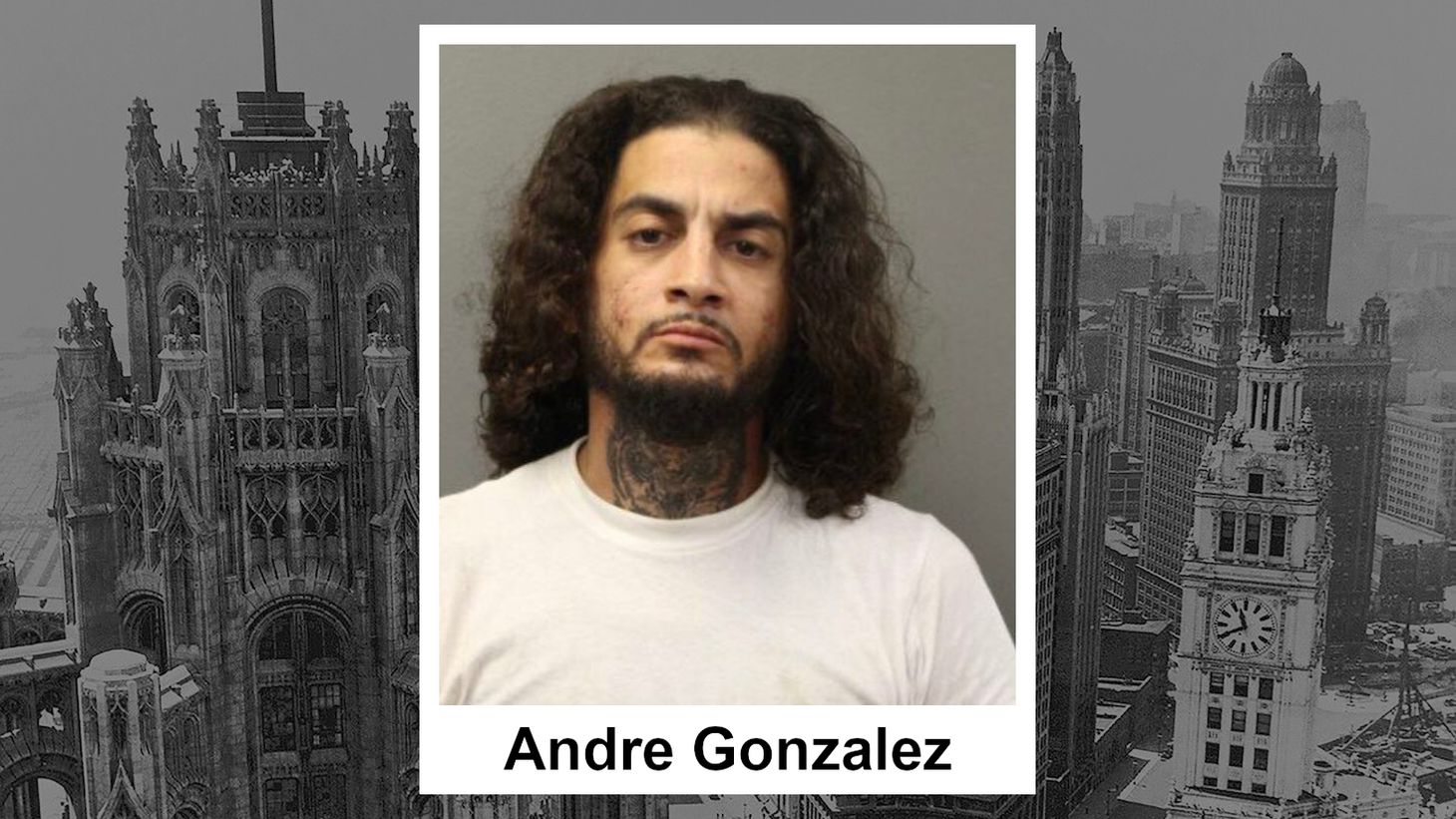 Chicago man charged with machete crime spree on city's north west side